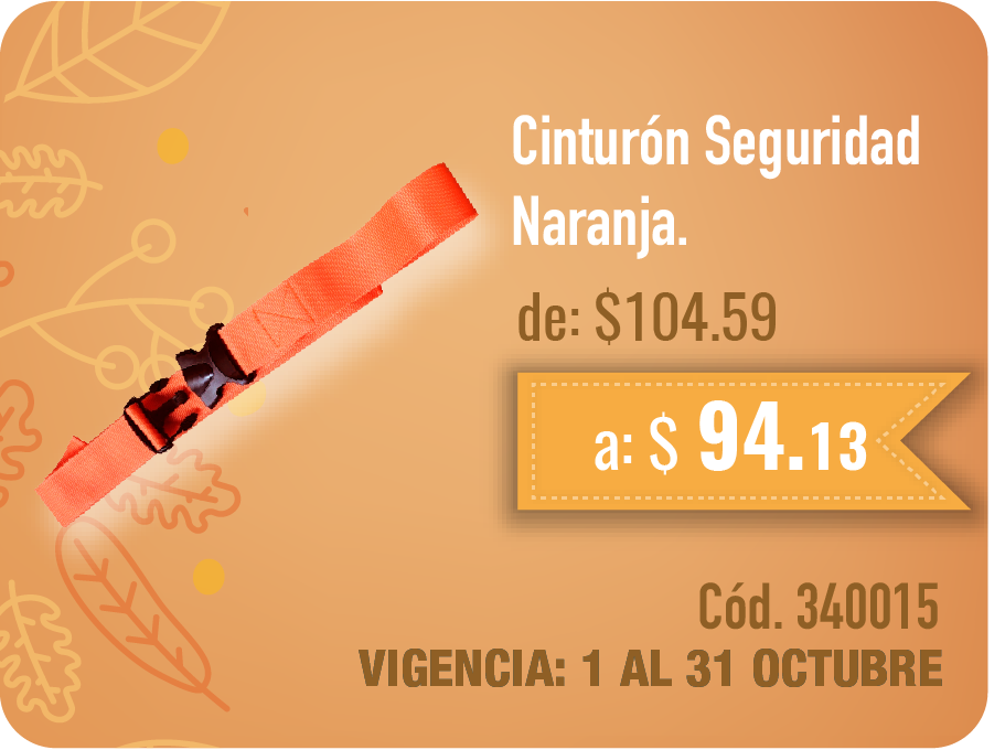 Cinturón de Seguridad Naranja