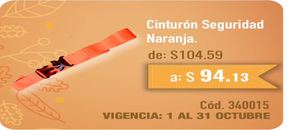 Cinturón de Seguridad Naranja