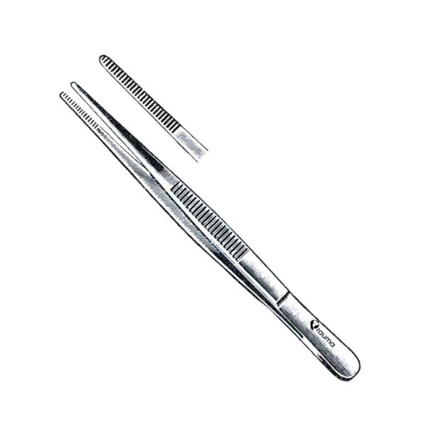 PINZA DISECCION S/D 11.5CM AC INOX