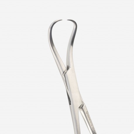 PINZA CAMPO BACKHAUS 13.3CM AC INOX