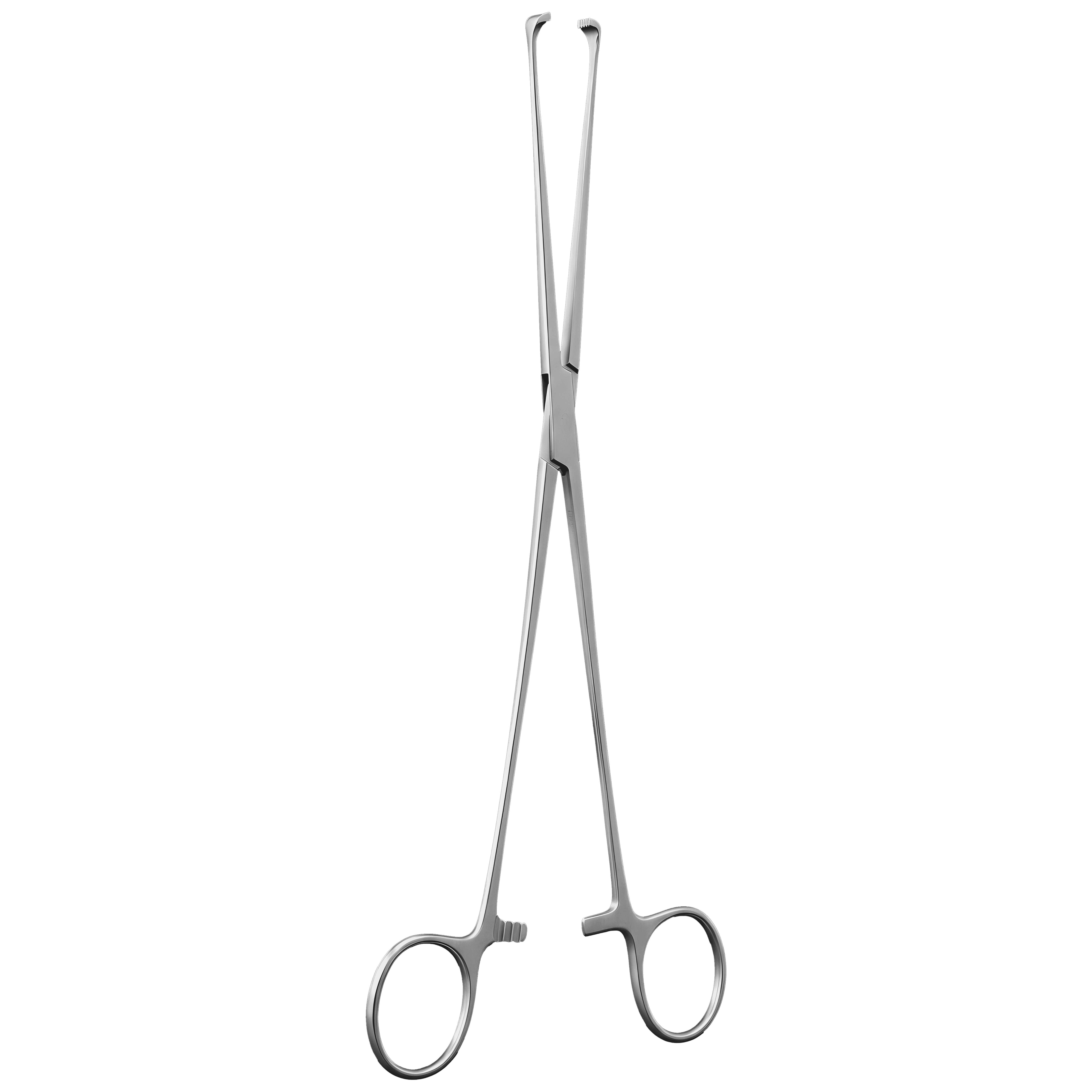 PINZA ALLIS WILLAUER 5X6 25CM H.P.
