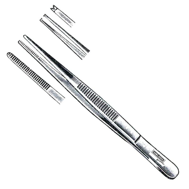 PINZA DISECCION C/D 15CM AC INOX