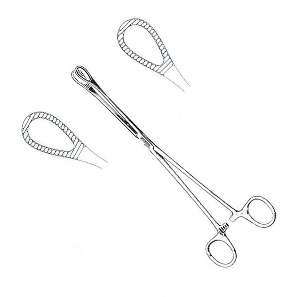 PINZA FOERSTER RECTA 24CM AC INOX