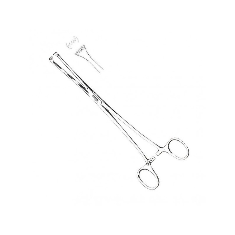 PINZA ALLIS P/TEJIDO 19CM AC INOX