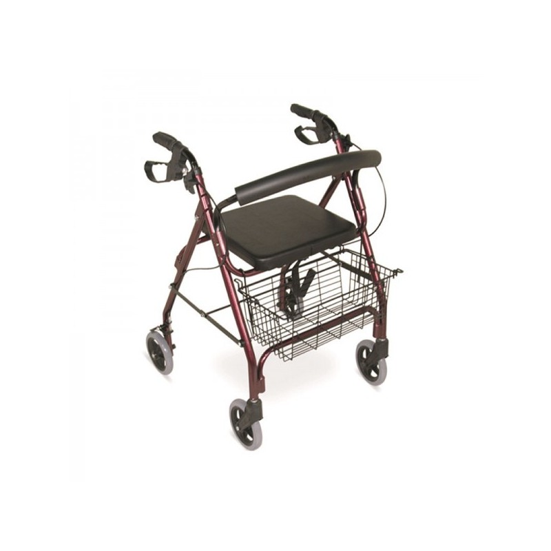 <p>Andadera con 4 ruedas y asiento, lo que la hace ideal tanto para interiores así como para exteriores.</p>

<ul><li>Estructura de aluminio</li>
	<li>Ruedas de 6” (dan un desplazamiento más suave y firme)</li>
	<li>Con canastilla metálica</li>
	<li>Manubrios ergonómicos con altura ajustable</li>
	<li>Sistema de plegado</li>
	<li>Ligera y fácil de transportar</li>
</ul>