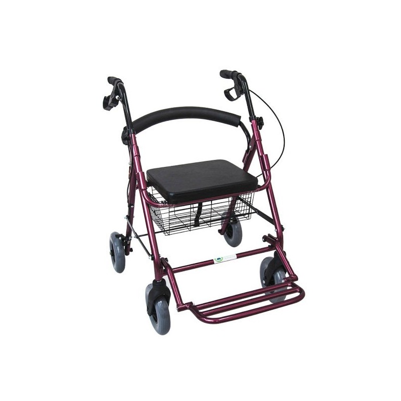 <p>Andadera de 4 ruedas híbrido con canastilla porta objetos en la parte inferior del asiento, de doble función: andadera y silla de traslado para viajes cortos.</p>

<ul><li>Fabricada en aluminio</li>
	<li>Asiento acojinado</li>
	<li>Barra de descansapies abatible</li>
	<li>Frenos de cable en ruedas frontales</li>
	<li>Medida de ruedas 8” x 2”</li>
	<li>Canastilla porta objetos</li>
	<li>Esmaltado rojo</li>
</ul>